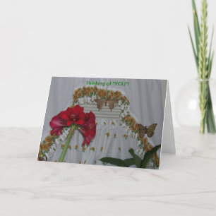 Carte Amaryllis et papillons, pensant à vous