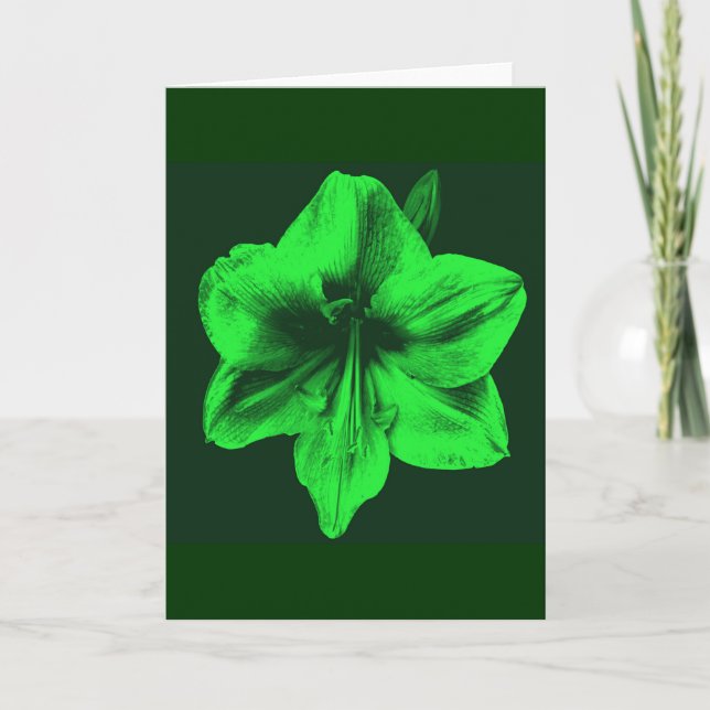 Carte Amaryllis vert (Devant)