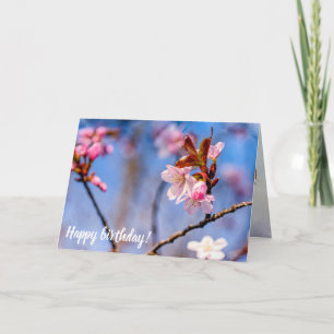 Carte Ambiance Des Fleurs De Sakura Frais Au Printemps