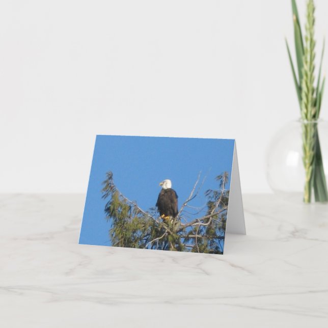 Carte American Bald Eagle Note (Devant)