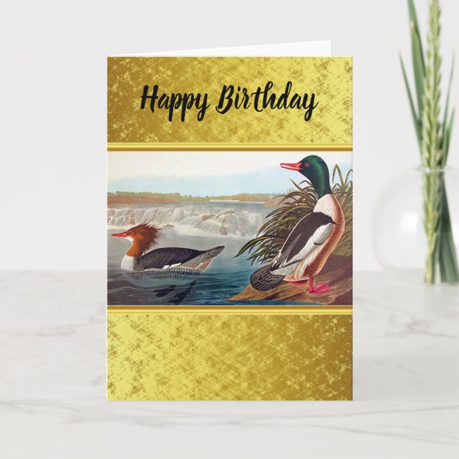 Carte American mallard ducks in a lake swimming (Devant)
