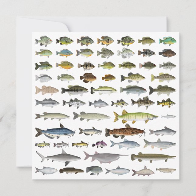 Carte Amérique du Nord Groupe de poissons d'eau douce (Devant)