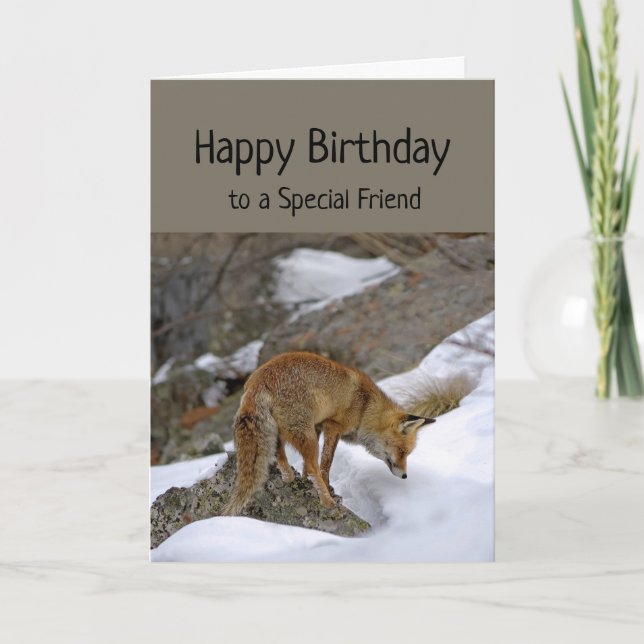 Carte Ami Spécial Merveilleux Anniversaire Fox Animal (Devant)