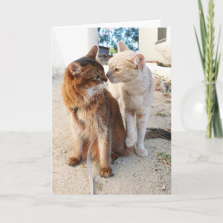 Carte Amis Chats - Romance pour Amoureux de Chats Mignon