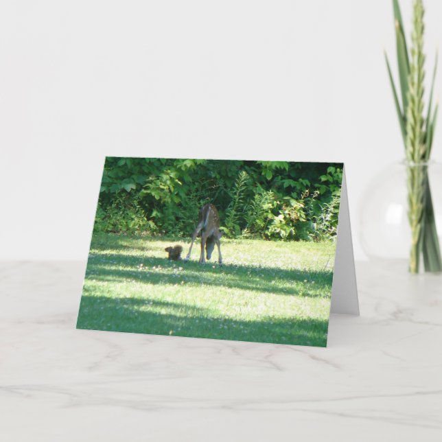 Carte Amis de l'écureuil (Devant)