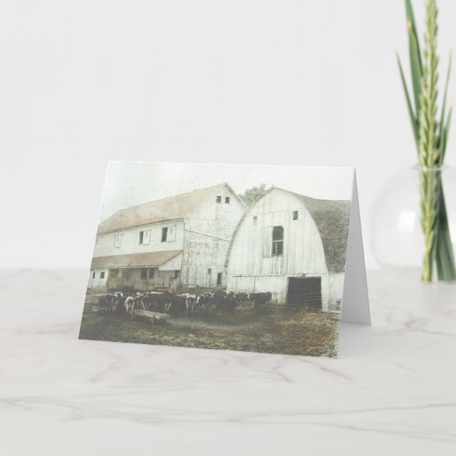 Carte Amish Dairy (Devant)