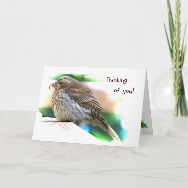 Carte Amitié Baby Finch (Devant)