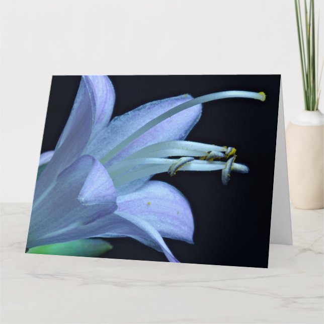 Carte Amitié - Belle Macro Hosta Flower Photo (Devant)