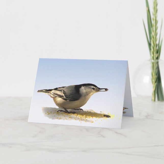 Carte Amitié Nuthatch à poitrine blanche (Devant)