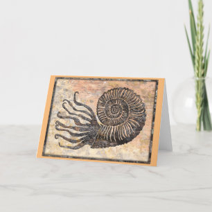 Carte Ammonite Fossil Talking Canyons, Nouveau-Mexique C