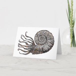 Carte Ammonite Fossil Talking Canyons, Nouveau-Mexique C