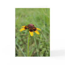 Among the Wildflowers Notecards