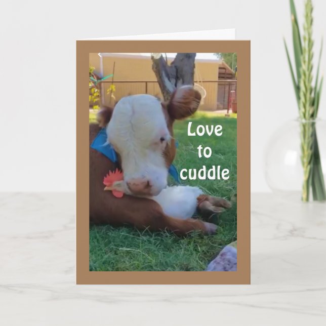 CARTE AMOUR À *CUDDLE* AVEC *VOUS* ANNIVERSAIRE AMOUR (Devant)