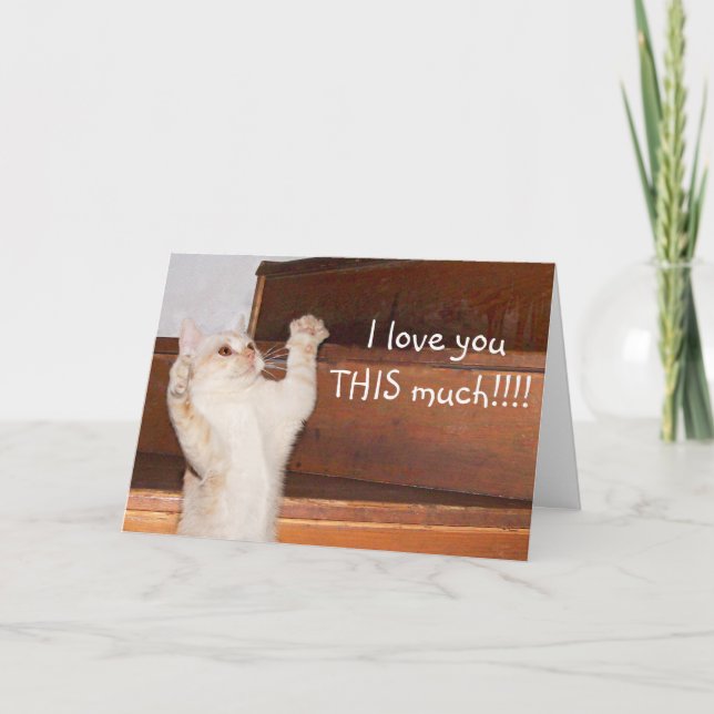 Carte Amour de chat Ktty (Devant)