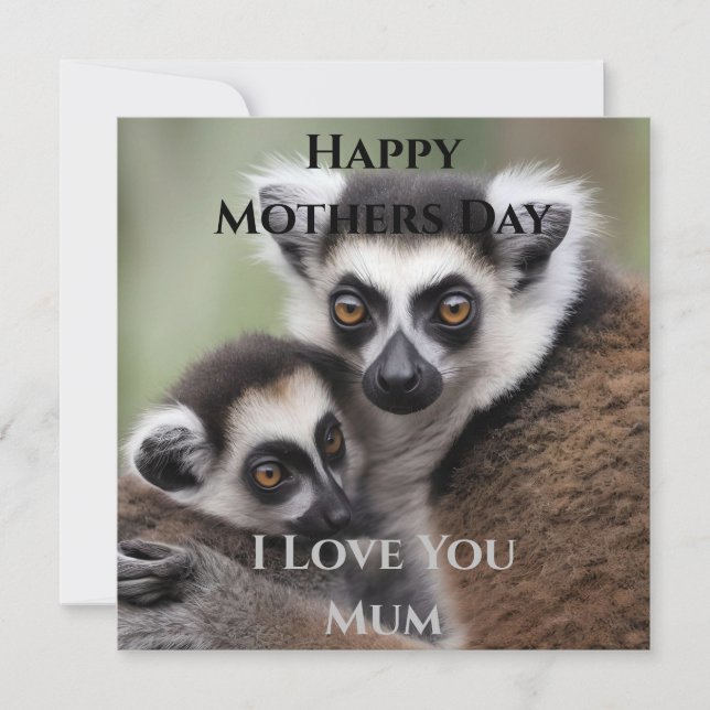 Carte **"Amour de la mère : Mummy and Baby Lemur Cuddlin (Devant)