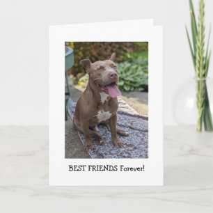 Carte Amour de Pitbull Pensée pour toi