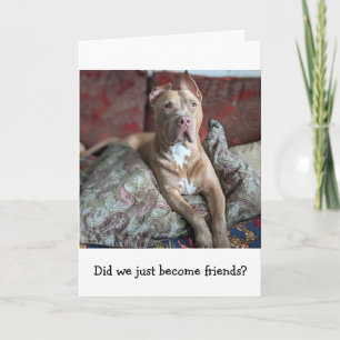 Carte Amour de Pitbull Pensée pour toi