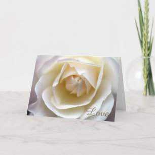 Carte Amour de rose blanc