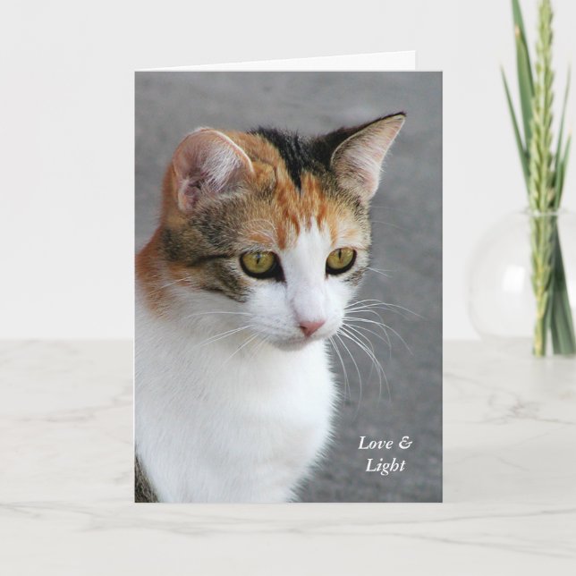 Carte Amour et lumière de chat de calicot (Devant)