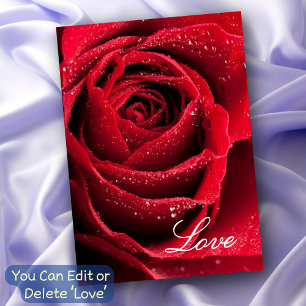 Carte Amour Relation Amitiés Rose Rouge Tous Usages