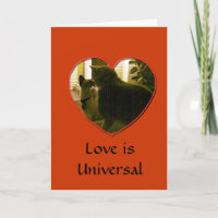 Carte - Amour universel