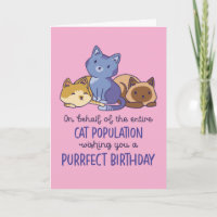 Amoureux de Chats Adorables Anniversaire Drôle Par