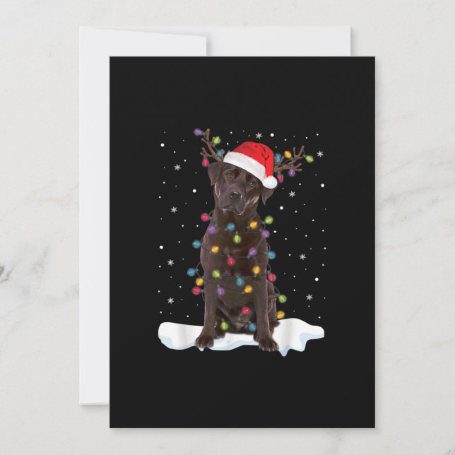Carte Amoureux des chiens | Labrador Retriever au chocol (Devant)