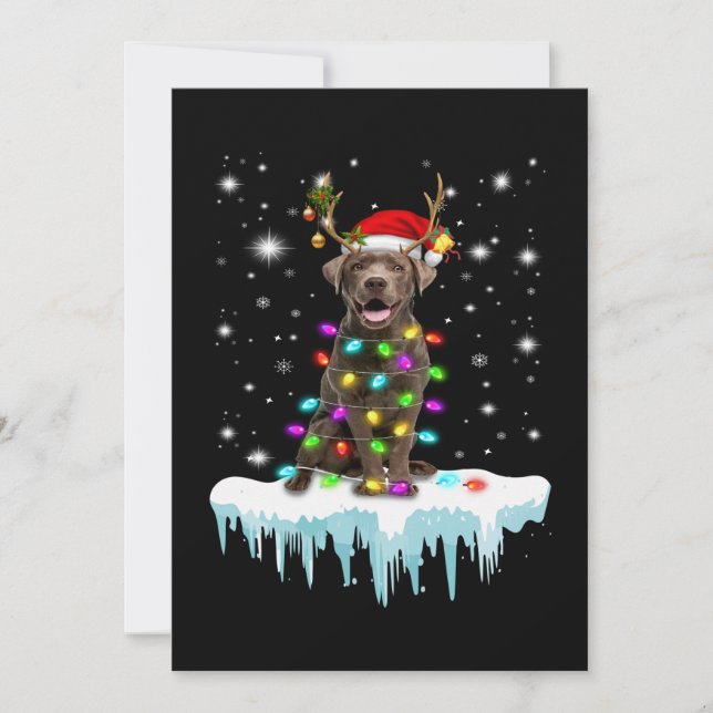 Carte Amoureux des chiens | Lumière de Noël Labrador cho (Devant)