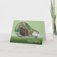 Ampoule de papillon