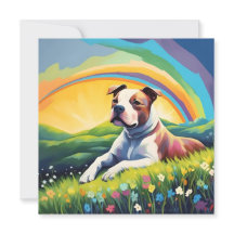Amstaff American Staffordshire Terrier Rainbow Chi