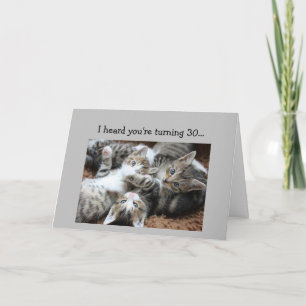 Carte Amusant 30e anniversaire Kitten Chat Humour animal