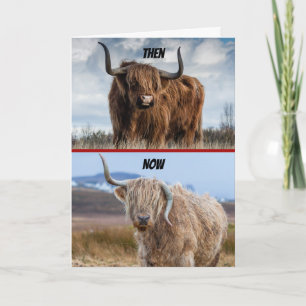 Carte Amusant Alors Et Maintenant Hell Raising Bull Anni
