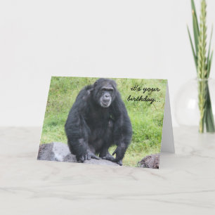Carte Amusant Anniversaire du Chimpanzé, tu veux un sing