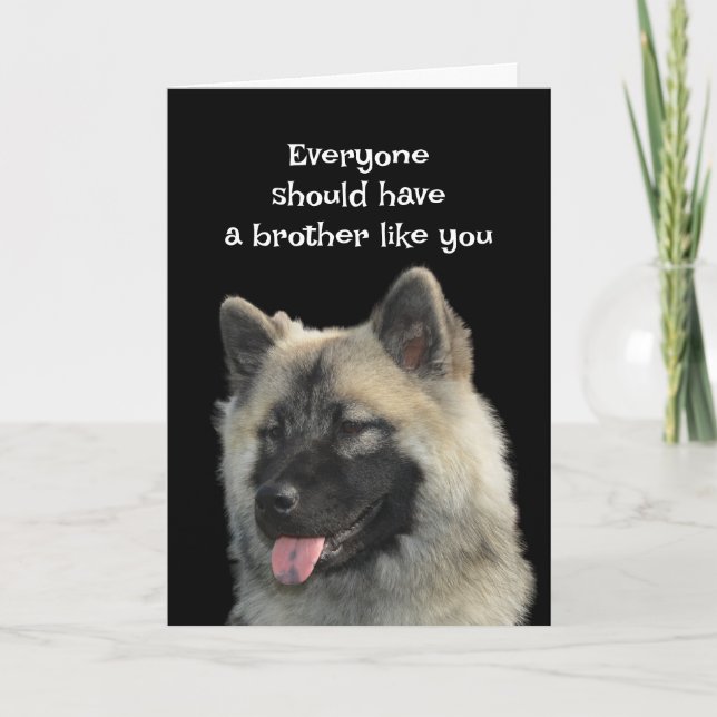 Carte Amusant Anniversaire Frère Chien Humour animal chi (Devant)