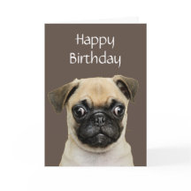 Amusant, Anniversaire Joyeux Carlin Humour de chie