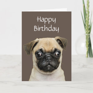 Carte Amusant, Anniversaire Joyeux Carlin Humour de chie