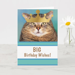 Carte Amusant Chat Gros voeux d'anniversaire