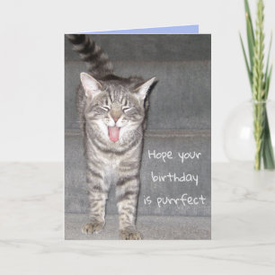 Carte Amusant chat Yawning Anniversaire