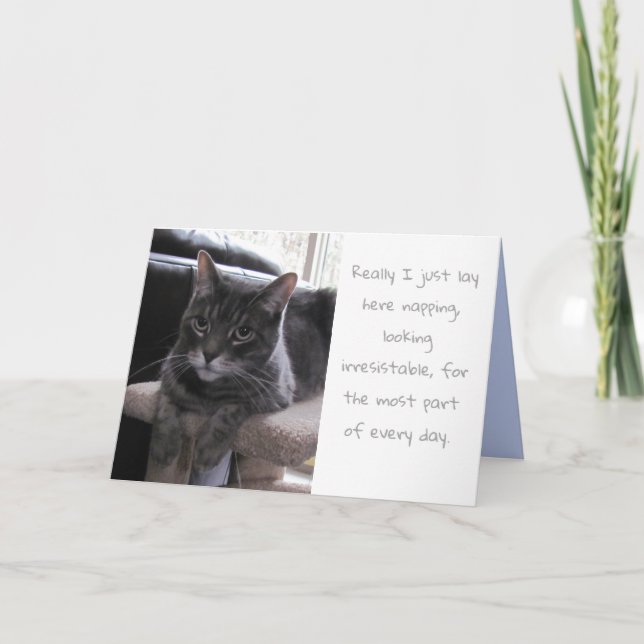 Carte Amusant Cute Chat Anniversaire (Devant)