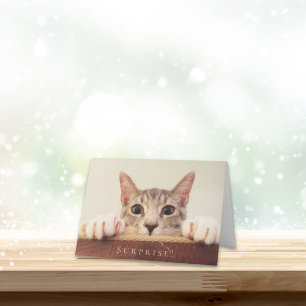 Carte Amusant Joyeux Anniversaire Chat Face Surprise
