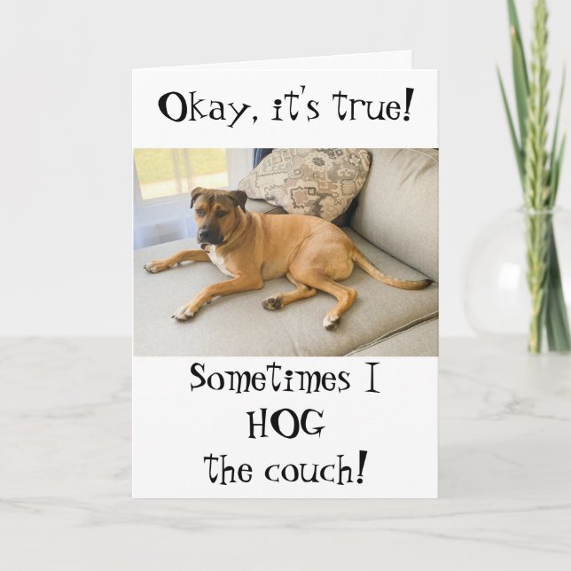 Carte Amusant Joyeux Anniversaire du chien (Devant)