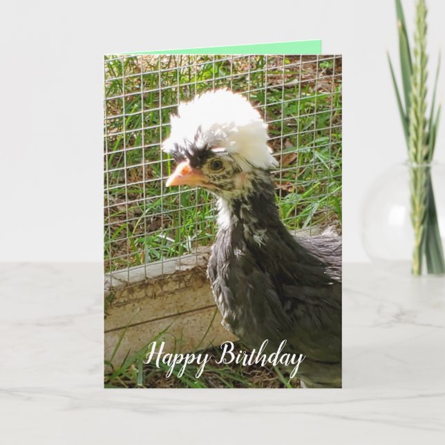 Carte Amusant Joyeux Anniversaire Polonais poulet (Devant)