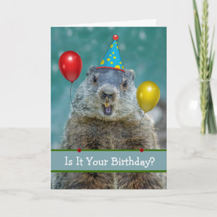 Carte Amusant Joyeux Anniversaire sur le Jour de la Marm
