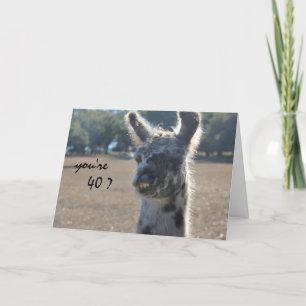 Carte Amusant Llama Anniversaire, 40ème, Sur la colline