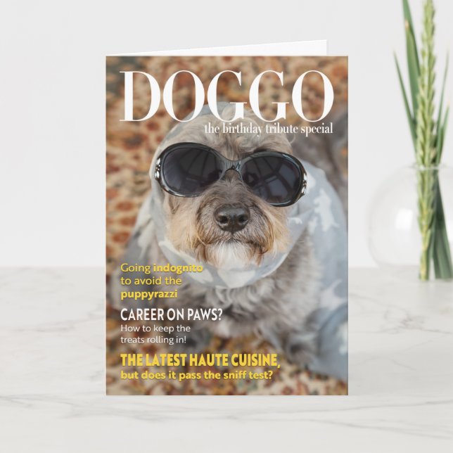Carte Amusant Magazine Chien Style Anniversaire (Devant)
