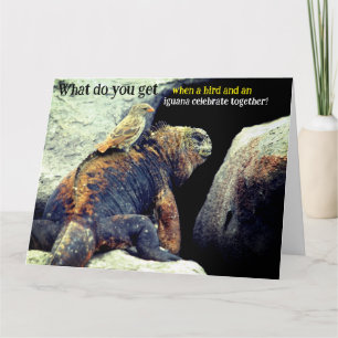 Carte Amusant Oiseau Et Marine Iguana Anniversaire