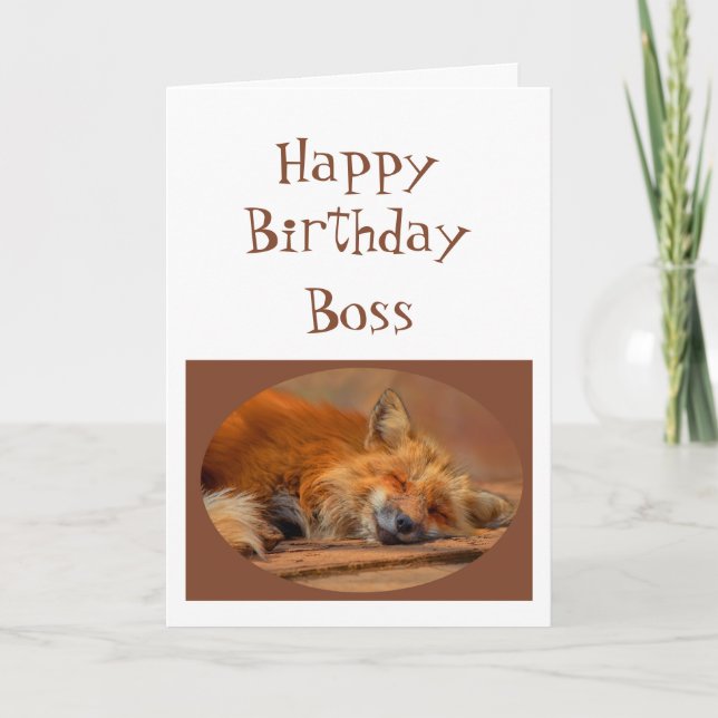 Carte Amusant "Pas de Fox Donné" Boss Anniversaire Humou (Devant)