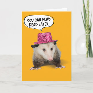 Carte Amusant Possum Anniversaire