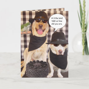 Carte Amusant sur la colline