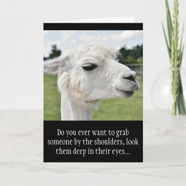 Carte Amusante Alpaca Llama Photo avec des plaisanteries (Devant)